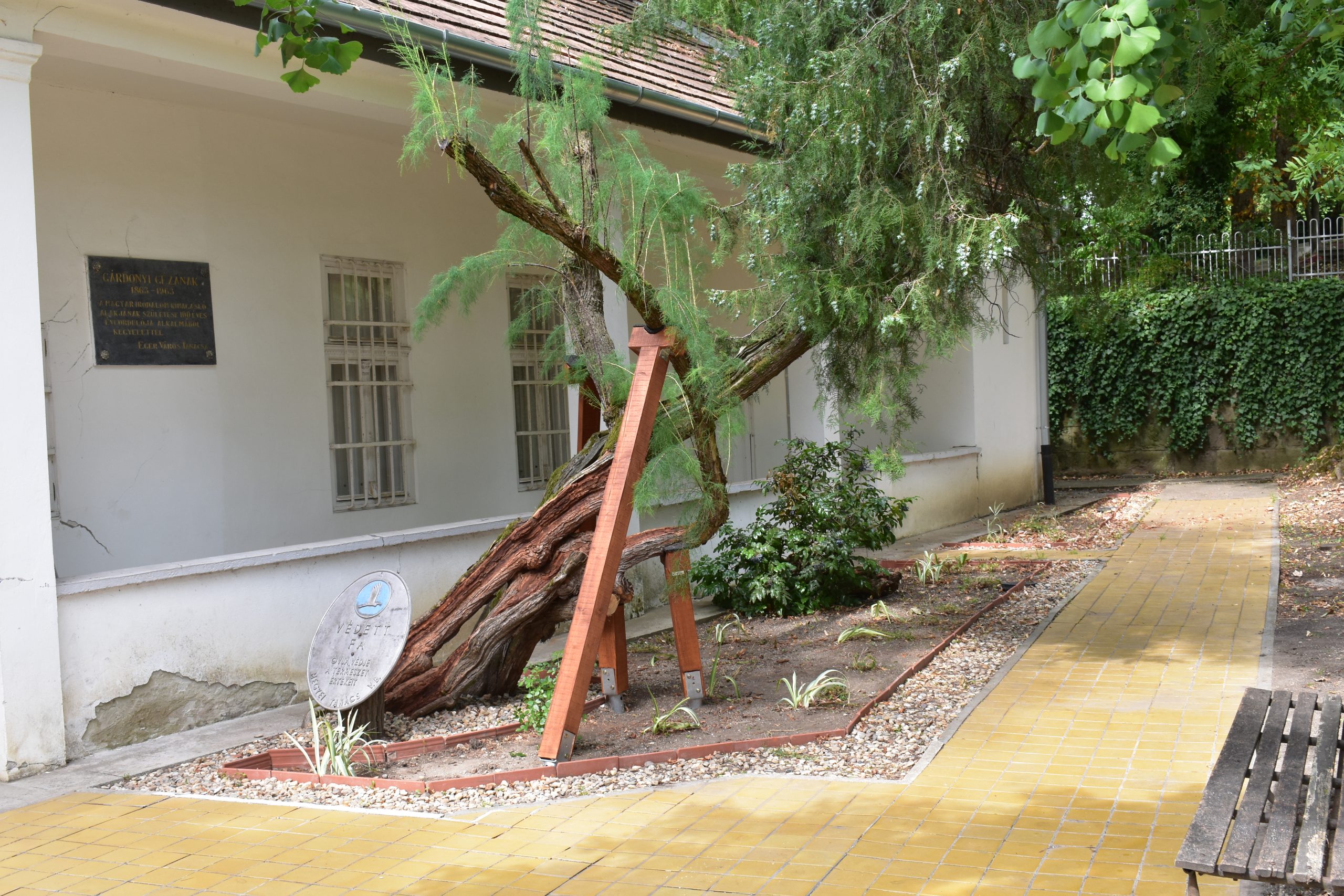 faapolas_gardonyi-tamariskaja-statikai-alatamasztas faapolas_gardonyi-tamariskaja-statikai-alatamasztas